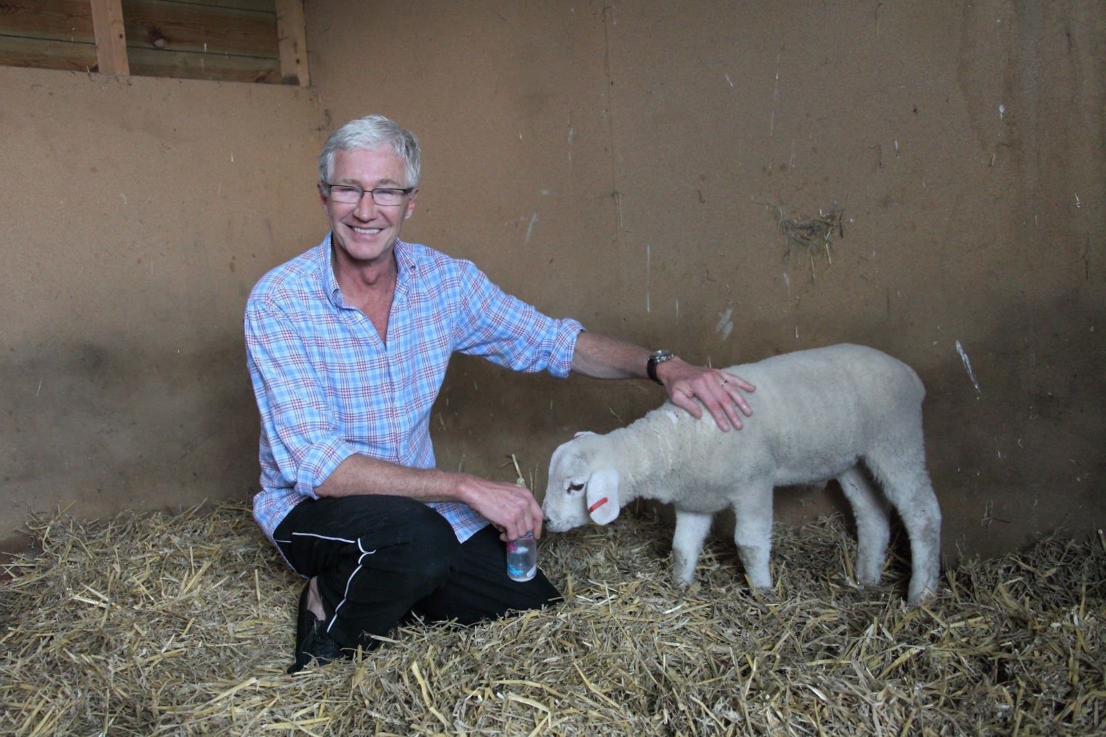O’Grady with Winston the lamb at his home in Kent (Joe Murphy/RSPCA)