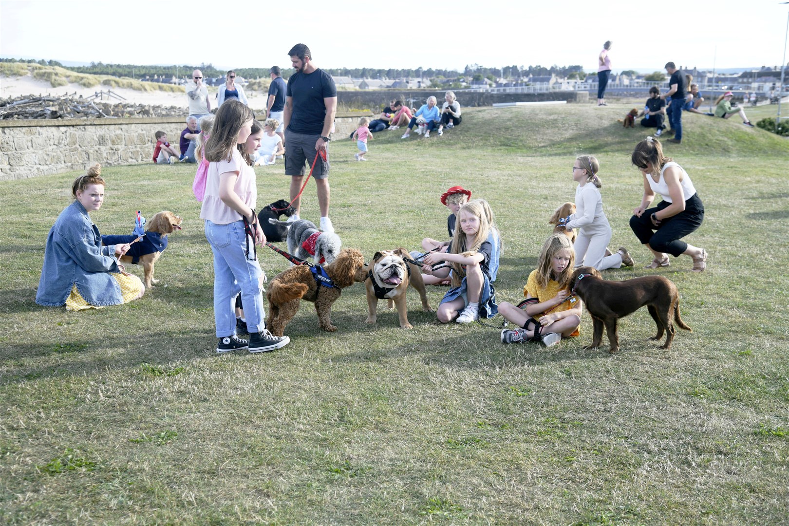 Some of the dogs and their young handlers in the dog show. Picture: Beth Taylor