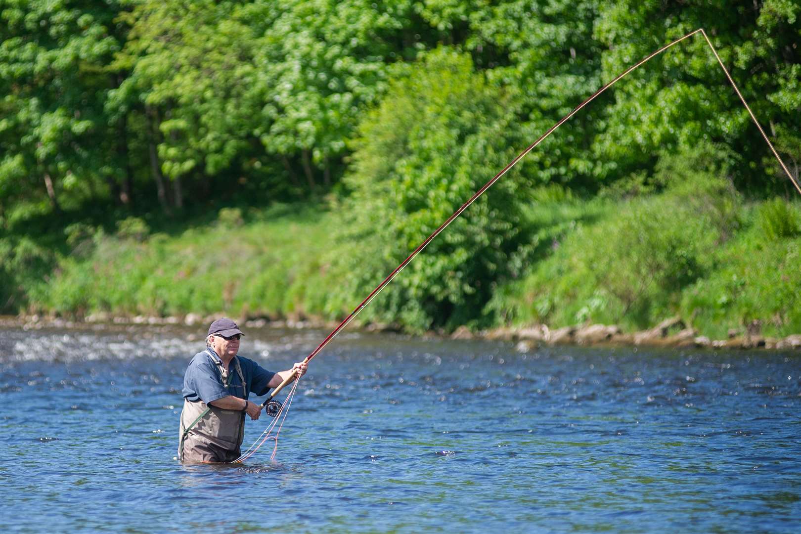 Peter Kyte fishes the Spey at Aberlour as the restrictions on fishing are lifted following Scottish Goverment advice. Picture: Daniel Forsyth..