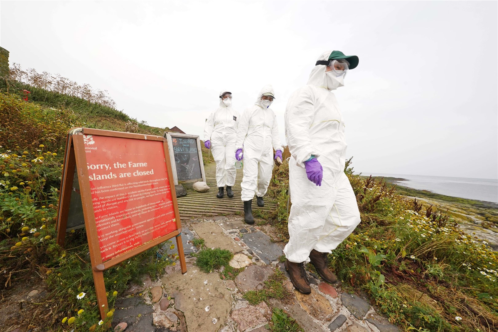 National Trust rangers worked hard last year to protect the birds from flu (Owen Humphreys/PA)