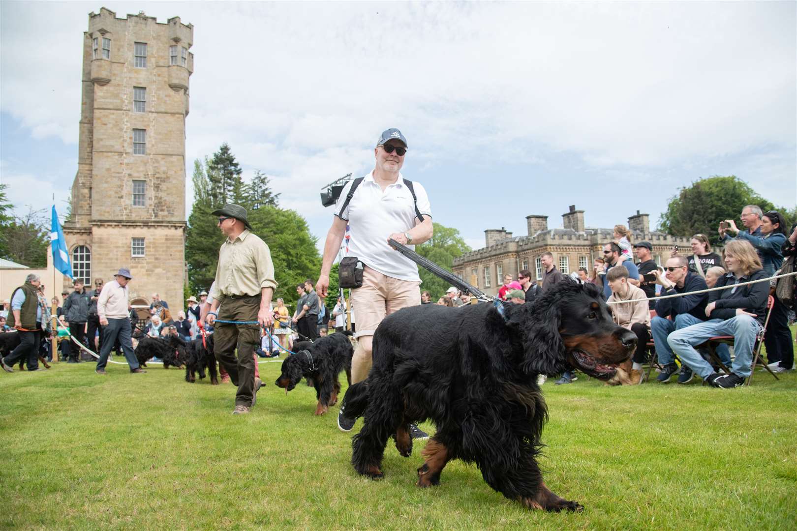 The Gordon Setters were just some of the four legged friends at Fochabers. Picture: Daniel Forsyth