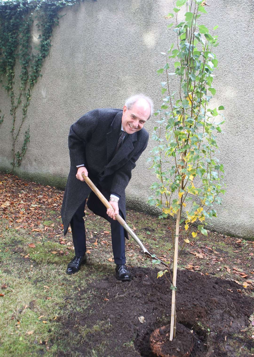 Mark Leishman CVO, Executive Director of the Royal Warrant Holder’s Association (RWHA) marks the special occasion by planting a tree in the Elgin mill’s Garvald Gardens. The tree is a Betula Fastigiata, the Birch is one of the oldest native species we have in Scotland.