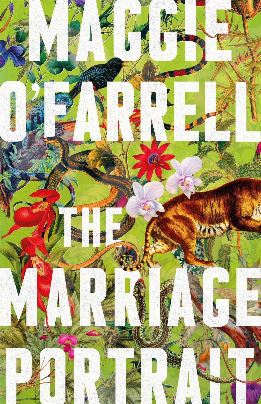 Maggie O’Farrell’s The Marriage Portrait has been shortlisted for Waterstones Book of the year 2022 (Waterstones/PA)