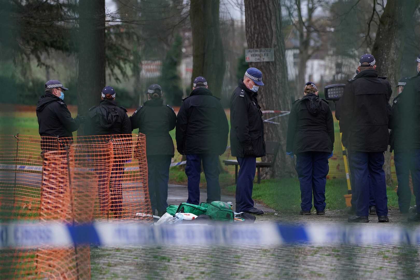 Police at the scene at the time of the murder in Ashburton Park, Croydon (PA)