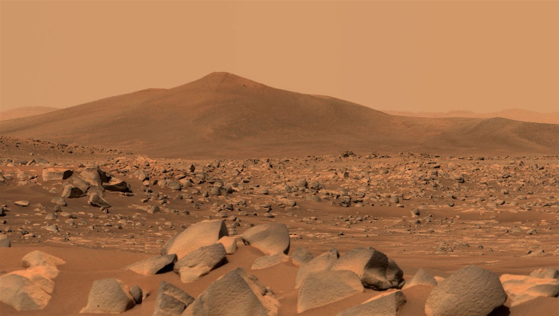 A picture of the surface of Mars taken by Mastcam-Z (Nasa/PA)
