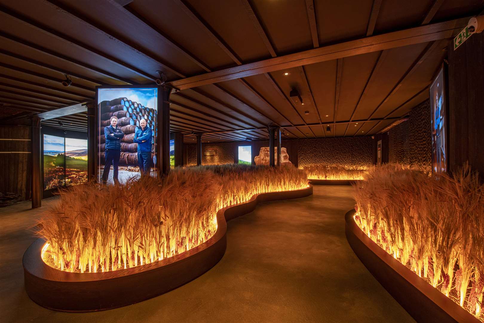 Locally-grown barley at the Glenlivet Distillery visitor centre's Speyside Room. Picture: John Paul.