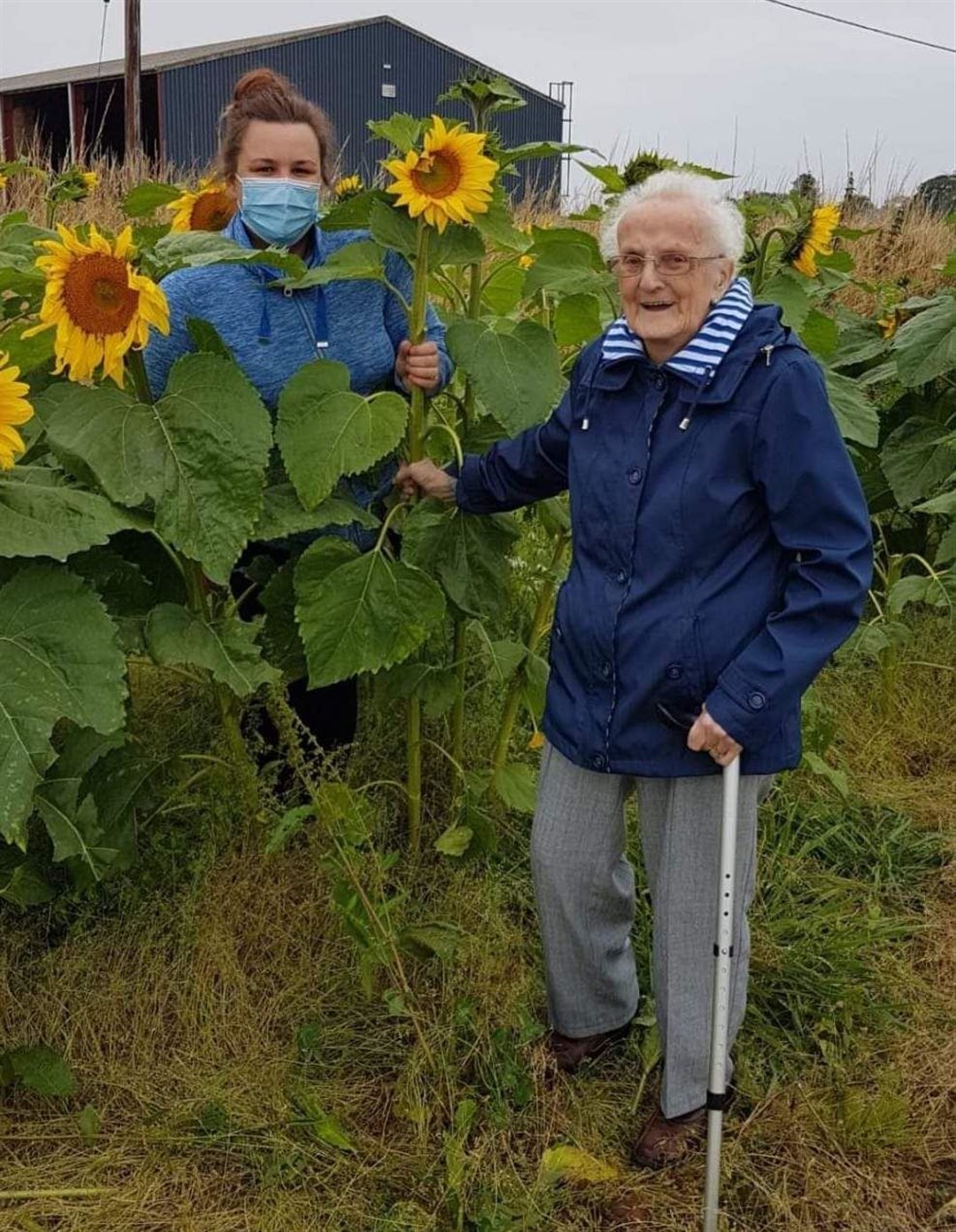 Lisa Toogood and Margaret Fettes with some of the lovely sunflowers.