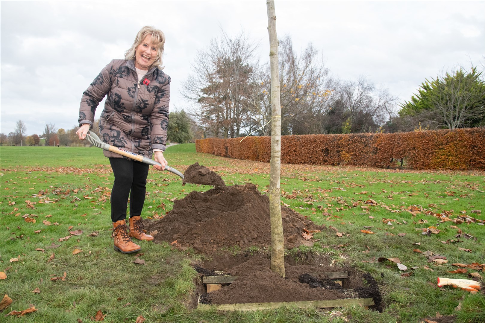Elgin Flower Club chairwoman Gill Garrow helping to plant a walnut tree to replace the one that was blown down during Storm Arwen in November 2021...Picture: Daniel Forsyth