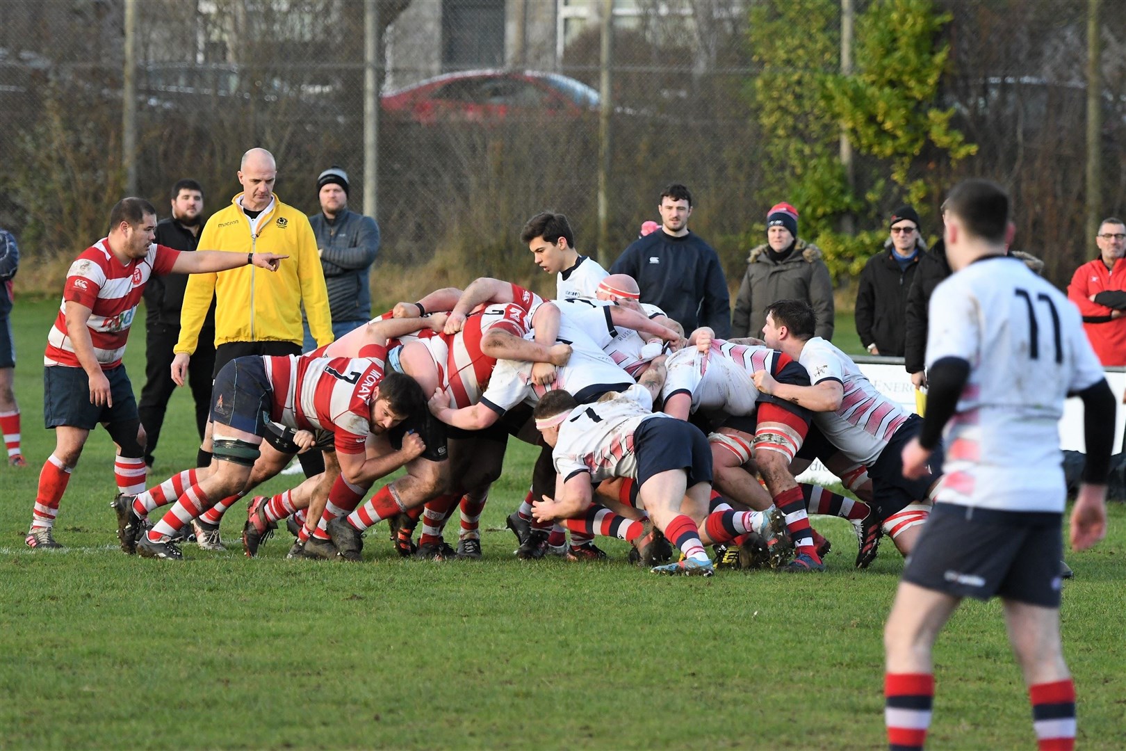 Strong scrummage display by Moray. Photo: James Officer