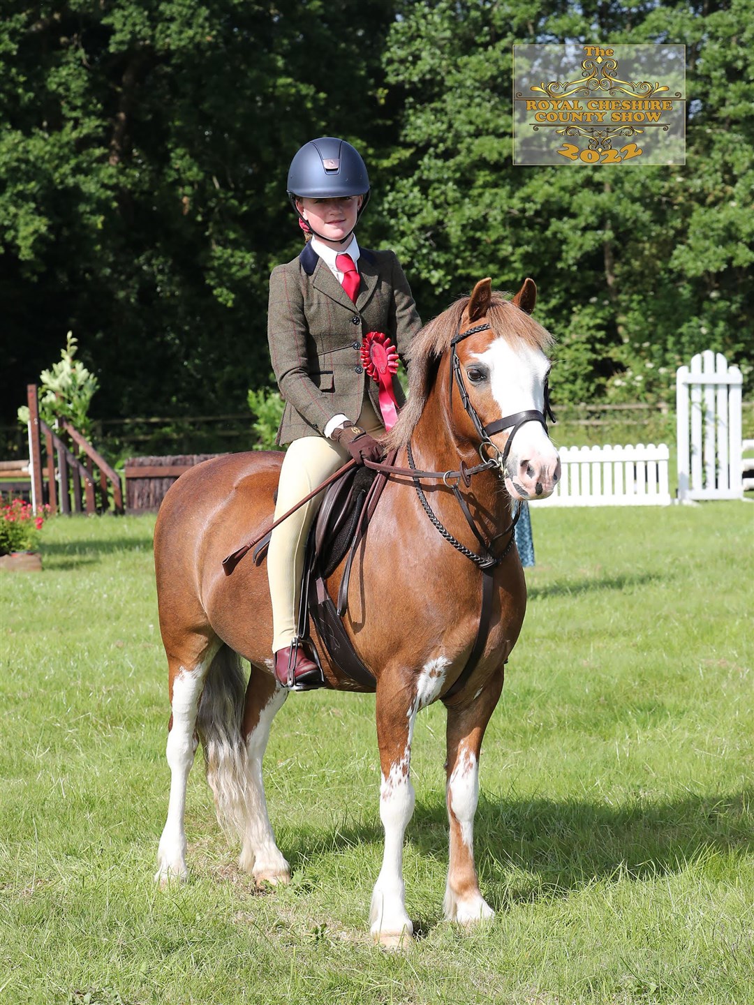 Annabel Thomson and Bertie have qualified for the Horse of the Year Show next week in Birmingham.