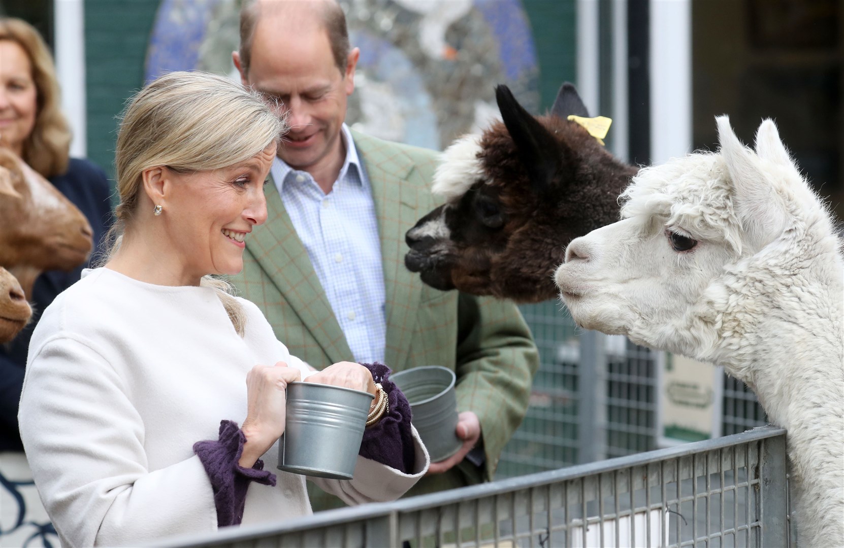 The Earl and Countess of Wessex feed Alpacas during their visit to Vauxhall City Farm (Chris Jackson/PA)