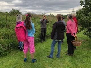 Moray Wellbeing Hub's community champions are often involved in group outdoor activities like foraging, which help promote positive mental health.