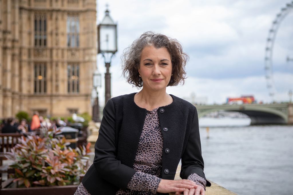 Labour chair of the International Development Committee chairwoman Sarah Champion warned hundreds of thousands more women will be put in danger (UK Parliament)