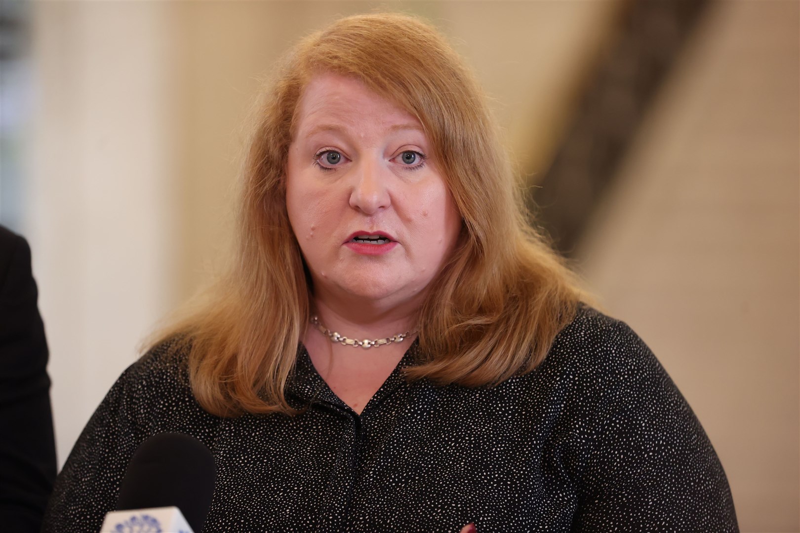Alliance party leader Naomi Long raised recent diplomatic tensions between the UK and Ireland over migration issues (Liam McBurney/PA)