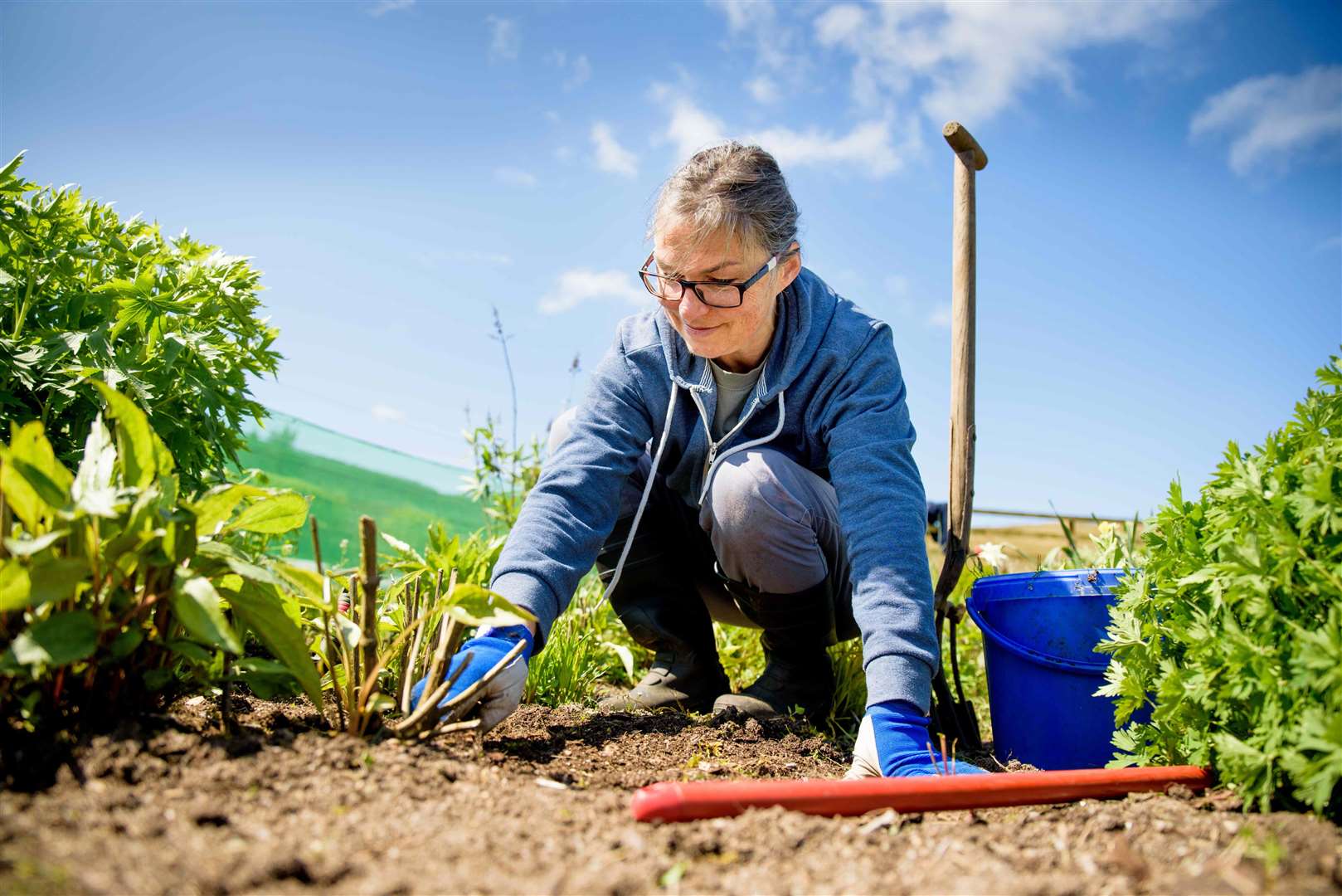 People with their own gardens and patios have fared better than those without personal outdoor space during the pandemic, the Covid-19 Health and Adherence Research in Scotland project has found.
