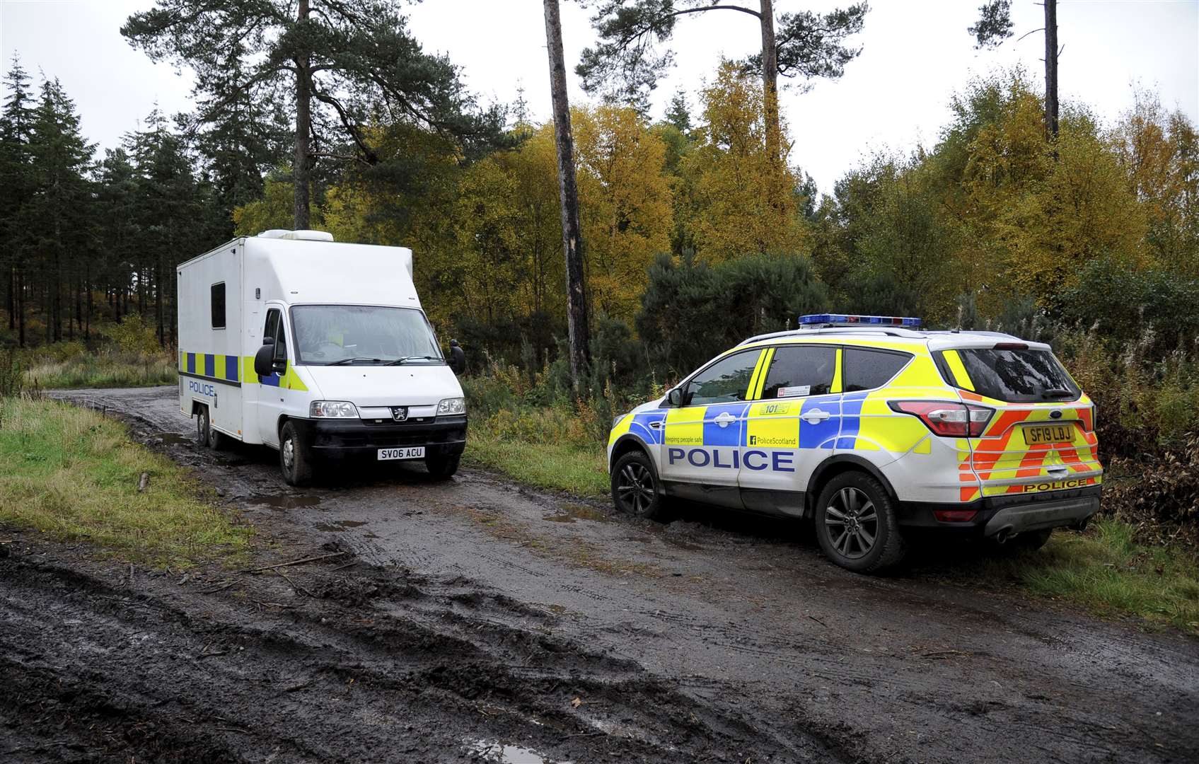 Police vehicles at the entrance to the woods where a serious attack took place. Picture: Eric Cormack