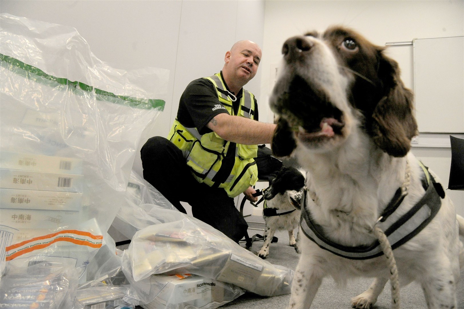 Spaniel Dixie with her handler Bobby Cranie, with the illegal tobacco products that have been seized by the council's trading standards. Picture: Eric Cormack. Image No. 043583.