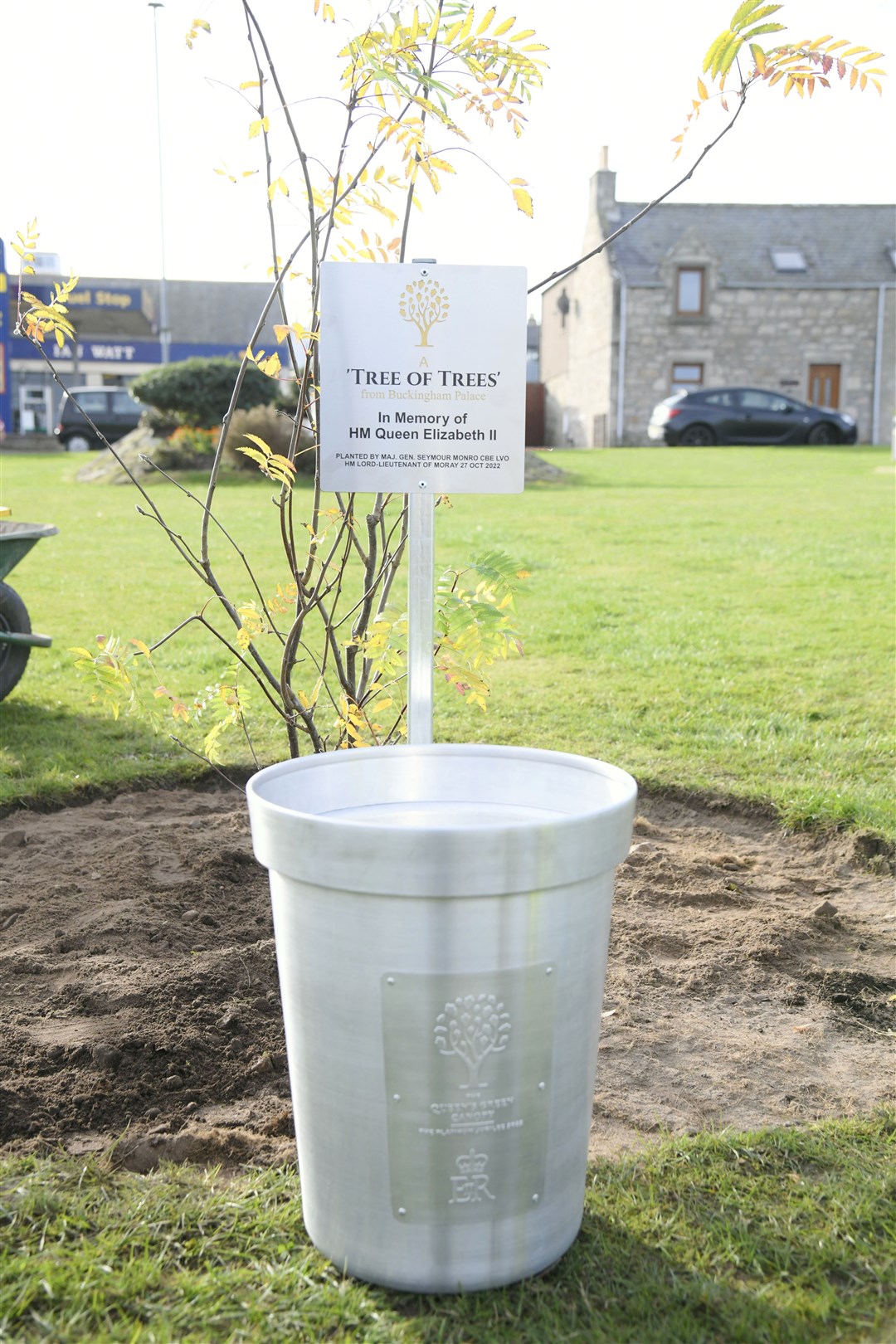 The crested pot which came with the special tree. Picture: Beth Taylor