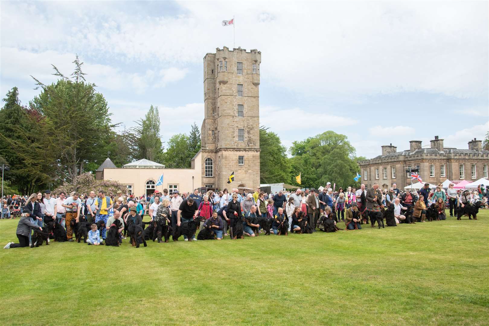 It was a great sight with all the dogs and their owners together. Picture: Daniel Forsyth