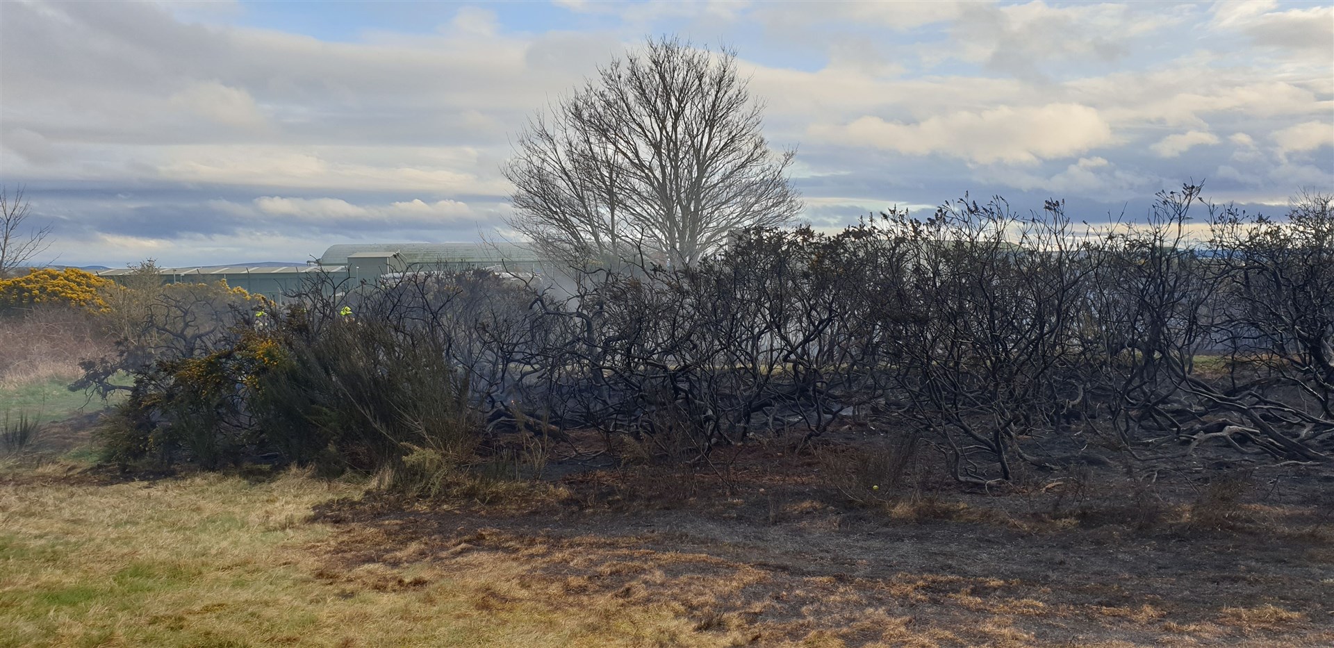 Fire crews from Lossiemouth and Elgin attended the scene.
