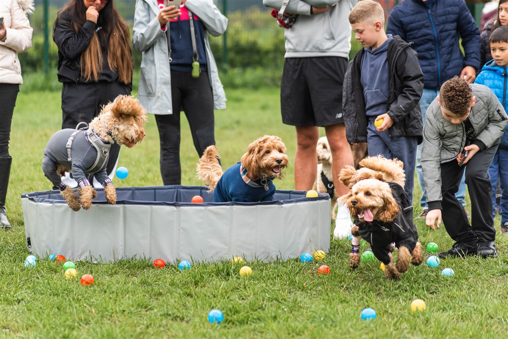 The popular party for pups will return to Elgin this weekend. Picture: Steve Howell
