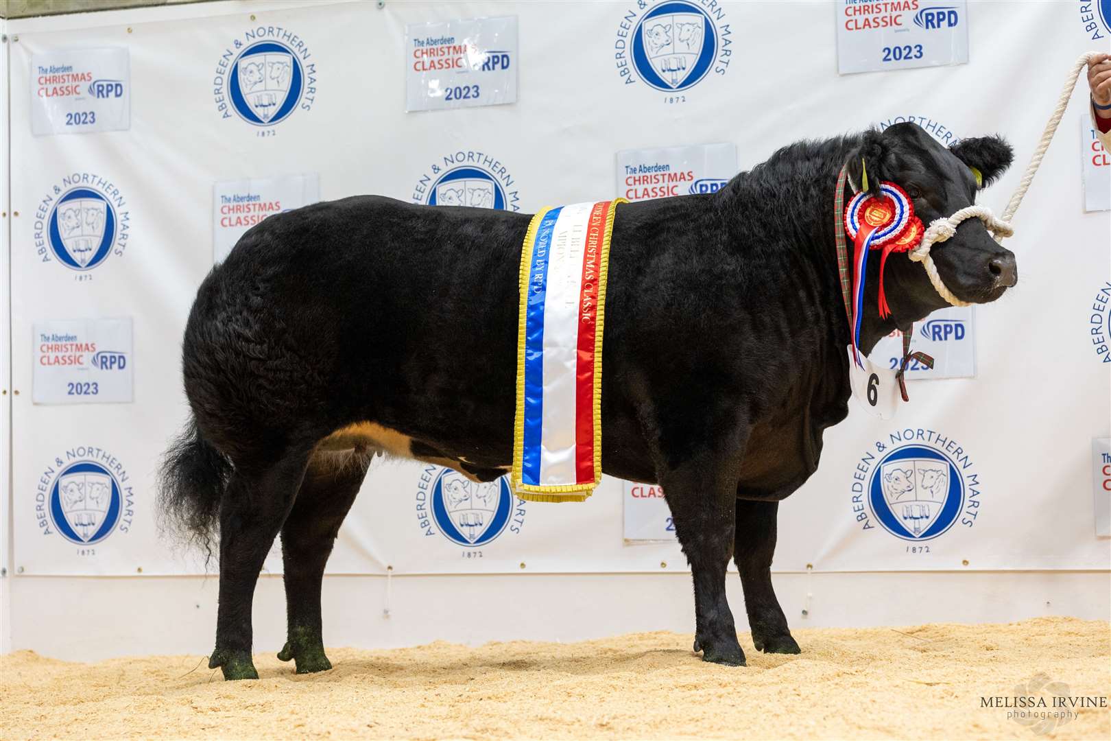 The champion from Wilson Peters. Picture: Courtesy of ANM Group.