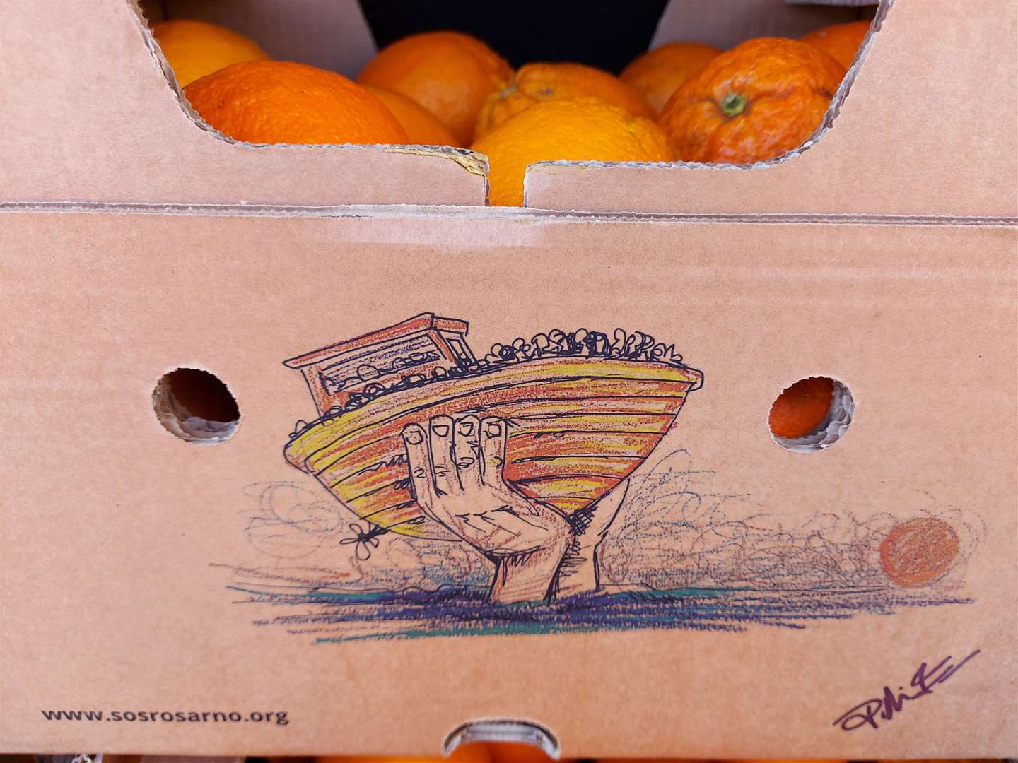 Operation Orange comes with the promose of fair wages to migrants involved in fruit picking in Italy.
