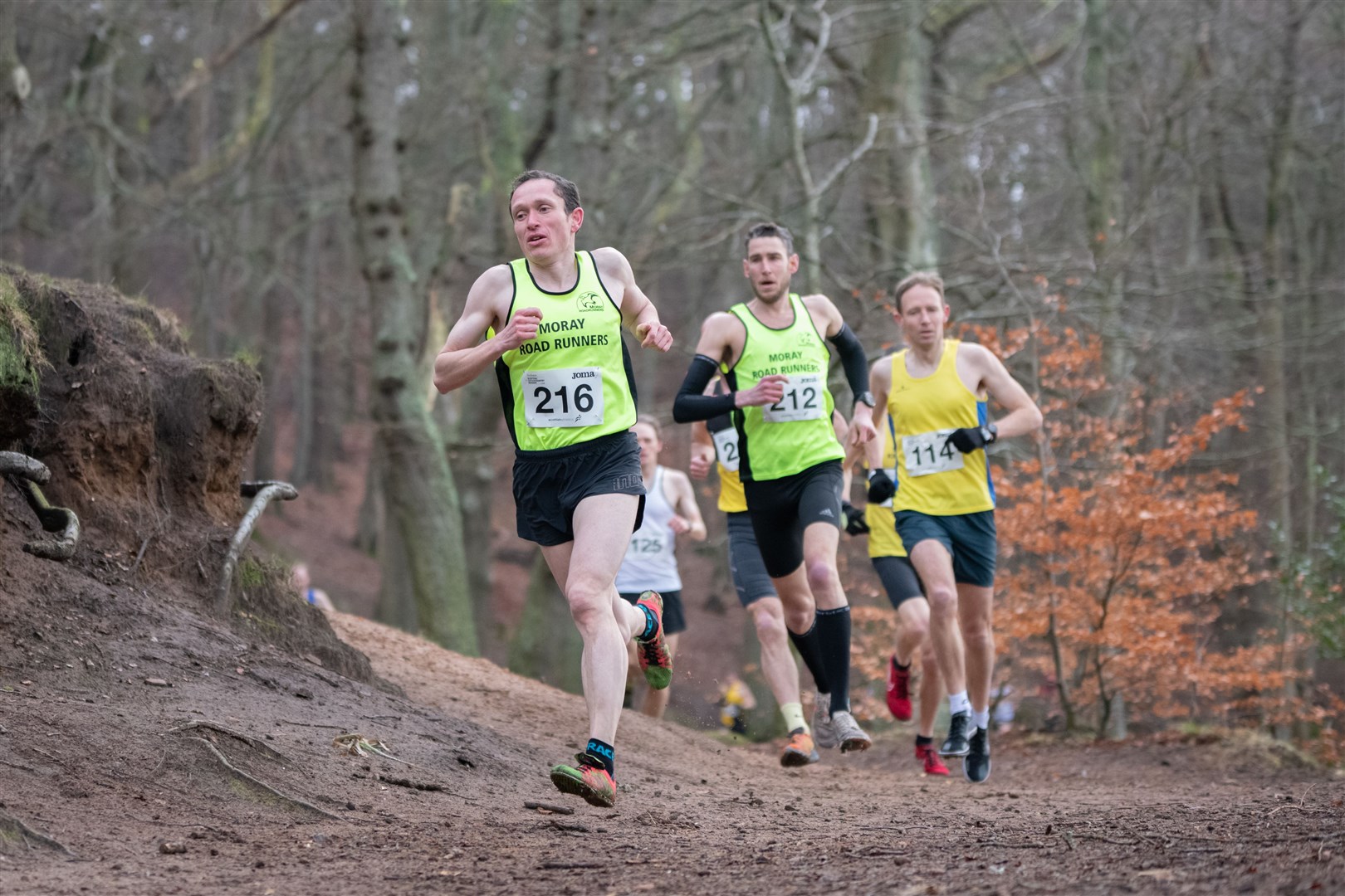 Moray Road Runners' pairing of Ben Livesey (#216) and Matthew Blunden (#212) on the Grant Park hill. ..scottishathletics National Masters Cross Country Championships at Grant Park, Forres February 11 2024...Picture: Daniel Forsyth..