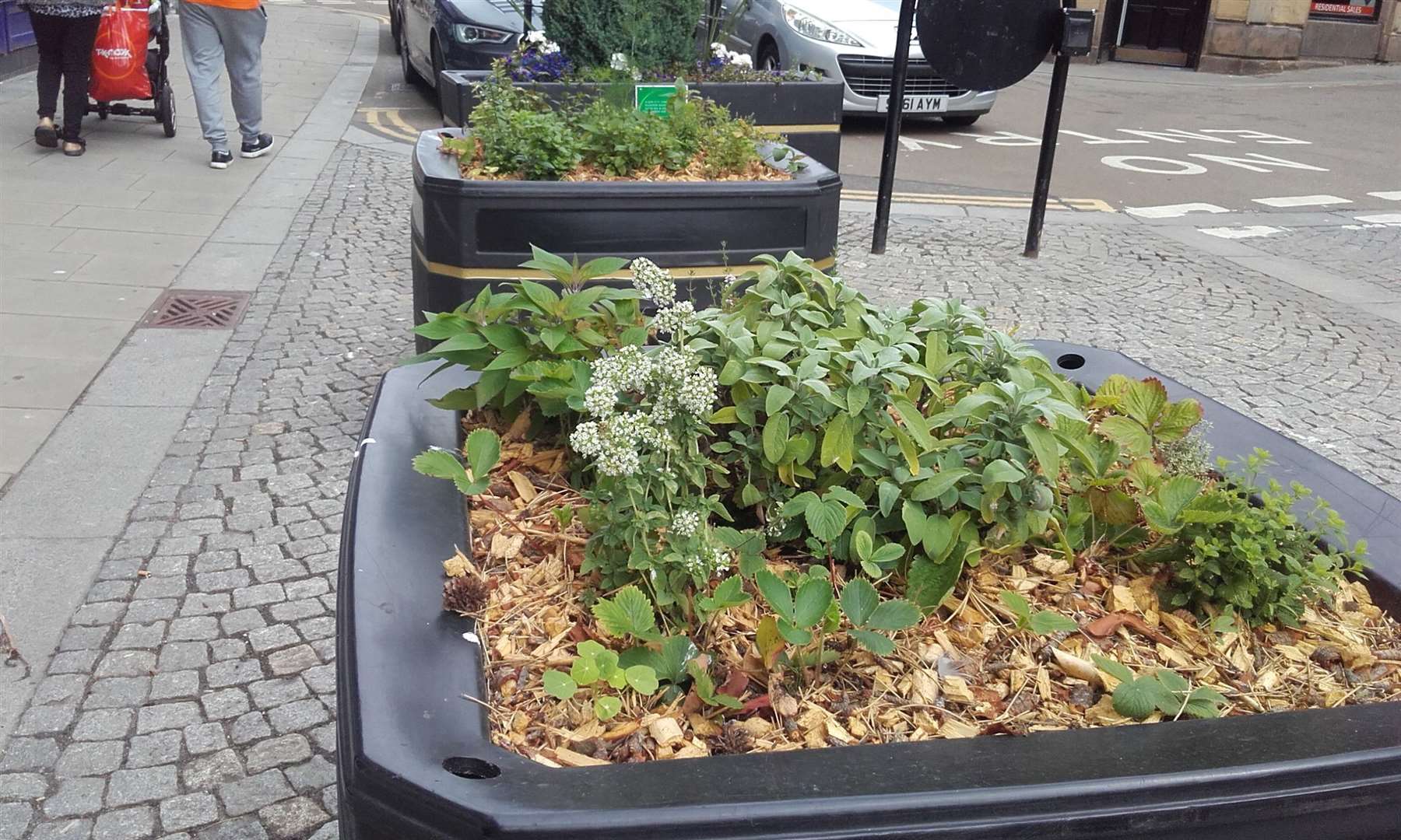 The REAP edible planters have been moved along Elgin High Street to a new spot outside Costa.