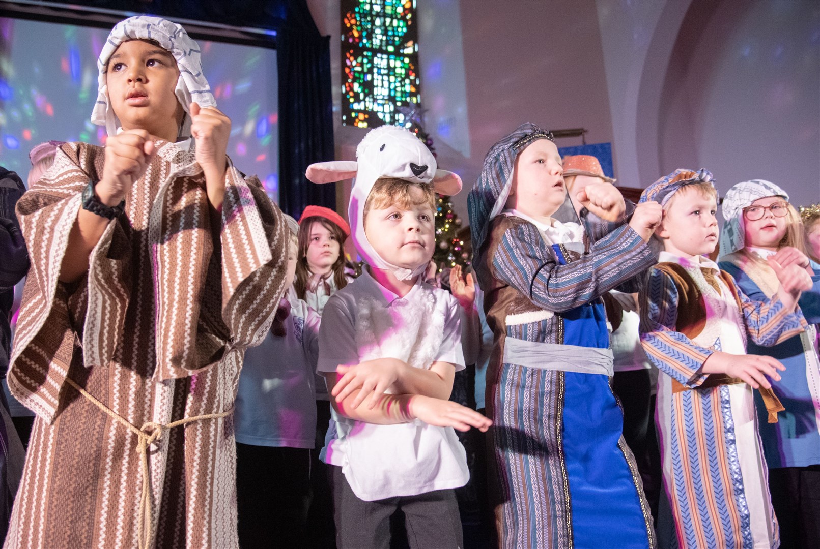 A grand finale...Burghead Primary School present 'Lights, Camel, Action!' as their Christmas show for 2023 - held in the Burghead Kirk... Picture: Daniel Forsyth..