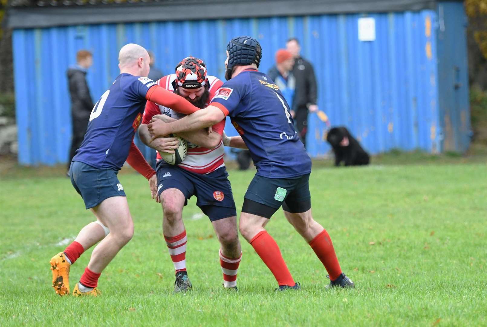 Daniel Davidson tackled by two defenders. Photo: James Officer