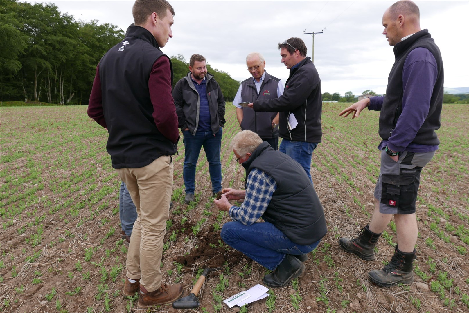 The Soil Regenerative Agriculture Group brought together five farmers to explore a range of management techniques, treatments, crops, and rotations, to help build soil resilience