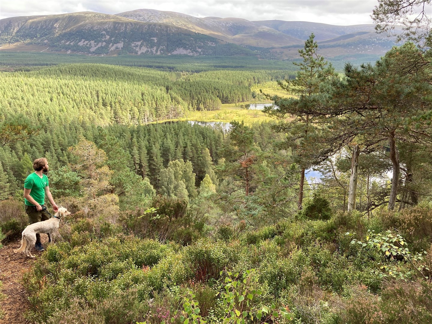 People are being urged to make their voices heard as formal consultation begins for the next Cairngorms National Park Partnership Plan.