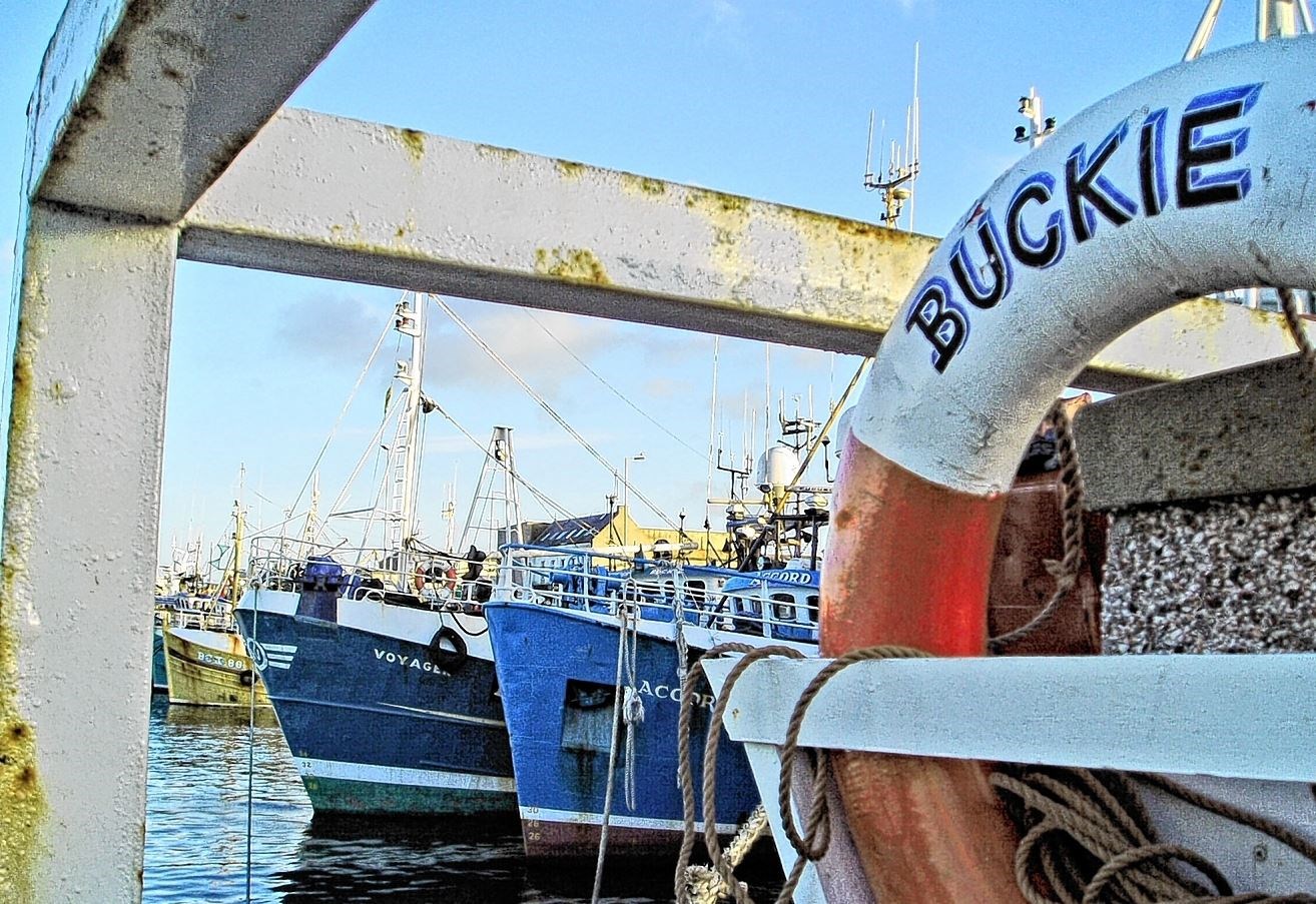 No fish were landed at Buckie Harbour last week.
