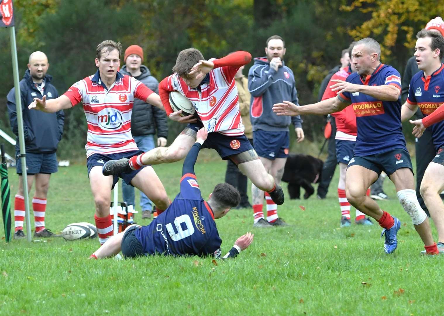 Ross Arnott tries to hurdle tackling scrum-half, with Cameron Ireland in the background. Photo: James Officer