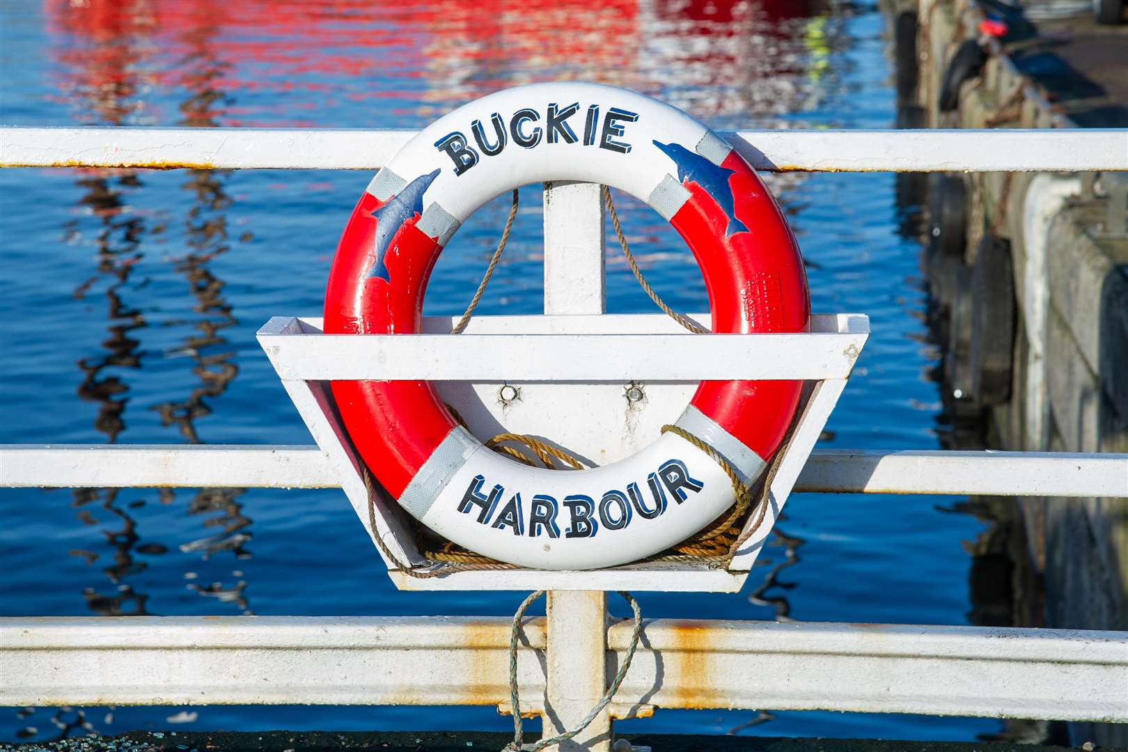 Landings were on the up last week at Buckie Harbour. Picture: Daniel Forsyth