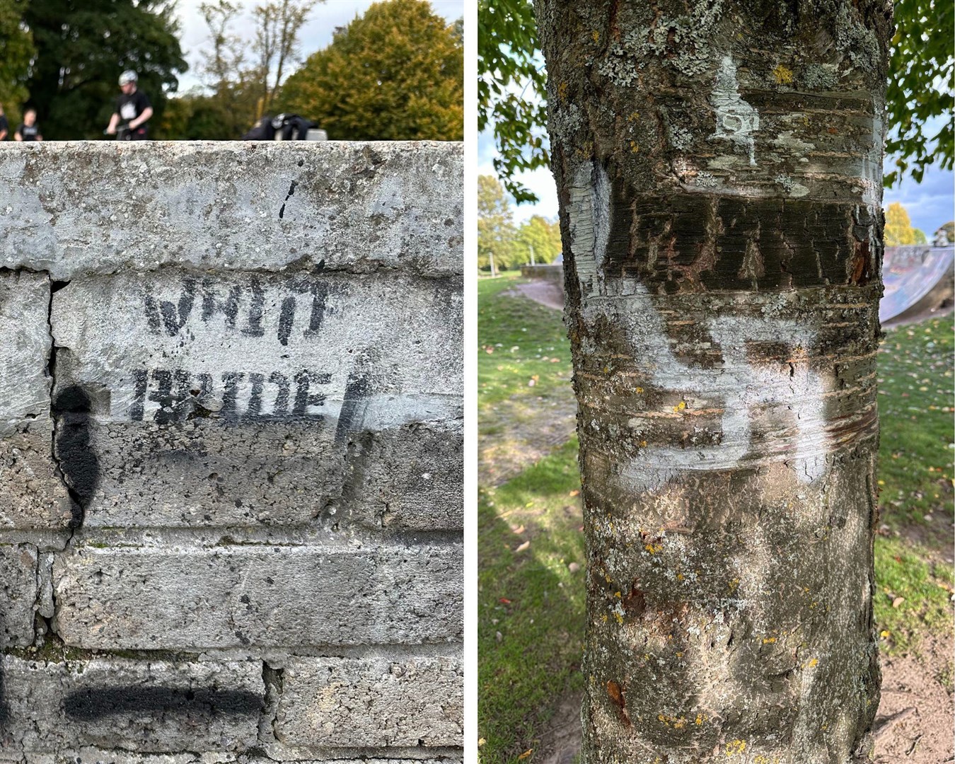 The graffiti includes infamous white supremacist slogans, a swastika, as well as the use of a racial slur.