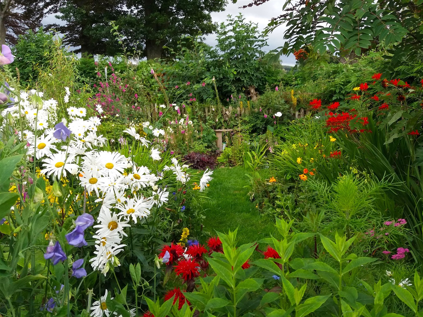 The garden at 3 Burgie Mains – 'a place where cultivated and wild meet'.