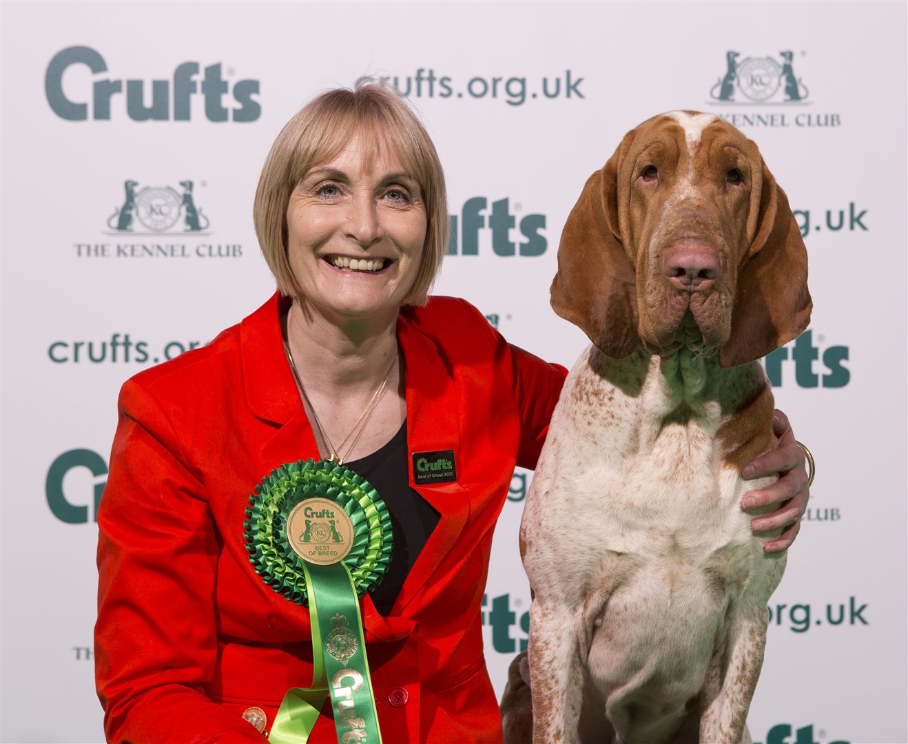 Lynne Bowley from Elgin with her Bracco Italiano, Lexus, winner of Best of Breed on the second day of Crufts 2020. Picture: Flick.digital