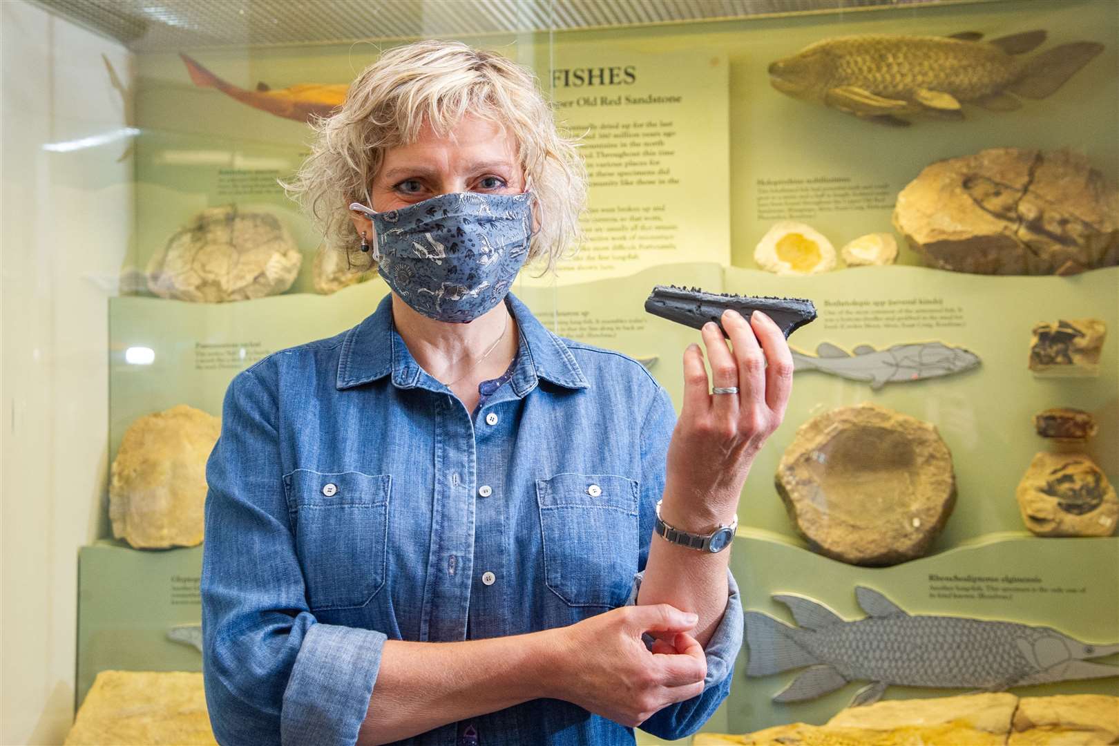 Geologist and Elgin Museum volunteer Dr Alison Wright in front of displays for its 'At the Water's Edge' geology exhibition. Picture: Daniel Forsyth.