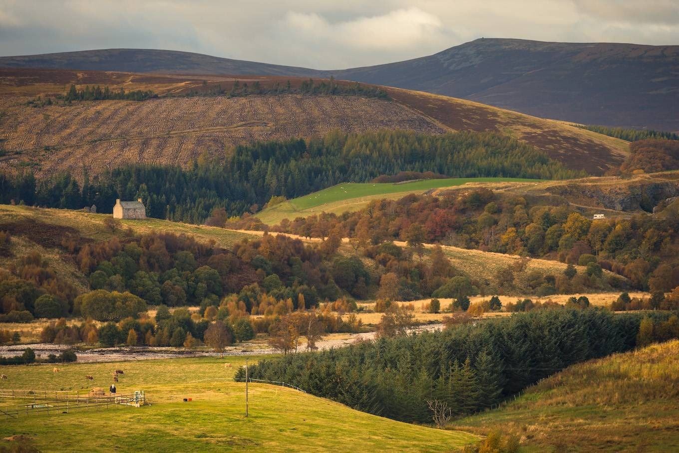 The Cairngorms National Park Authority has launched an online Community Paths and Trails Guide ahead of Wee Walks Week.